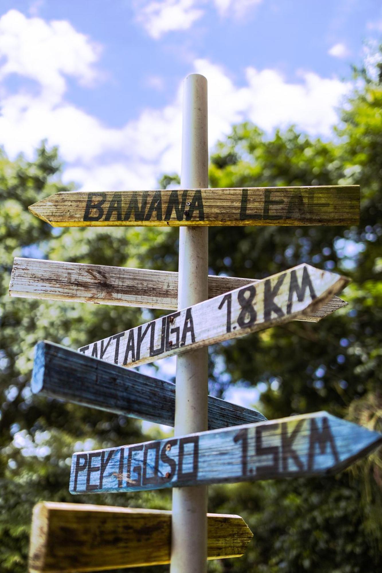 Banana Leaf Eco Hostel 리오데자네이루 외부 사진